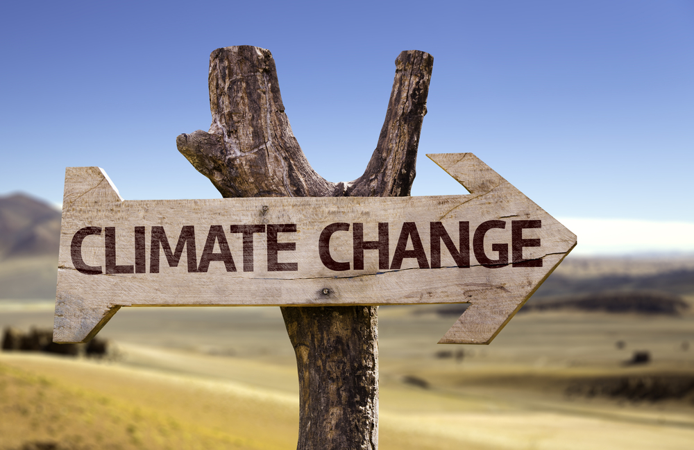 Climate Change wooden sign with a desert background